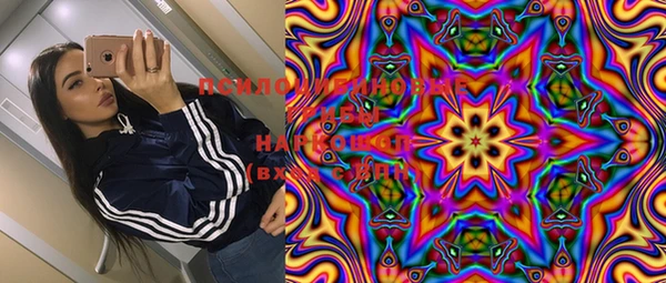 эйфоретик Лабытнанги