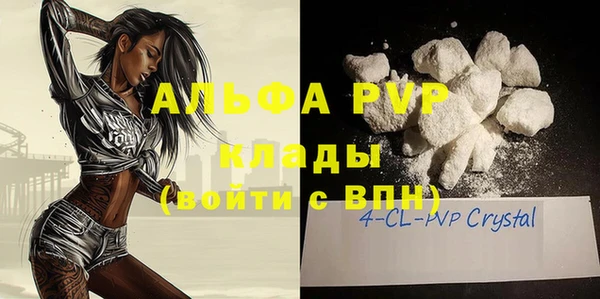 крисы Кулебаки