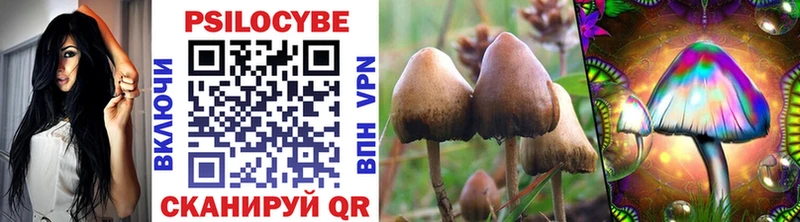 Купить закладки  Электроугли  Галлюциногенные грибы мицелий 